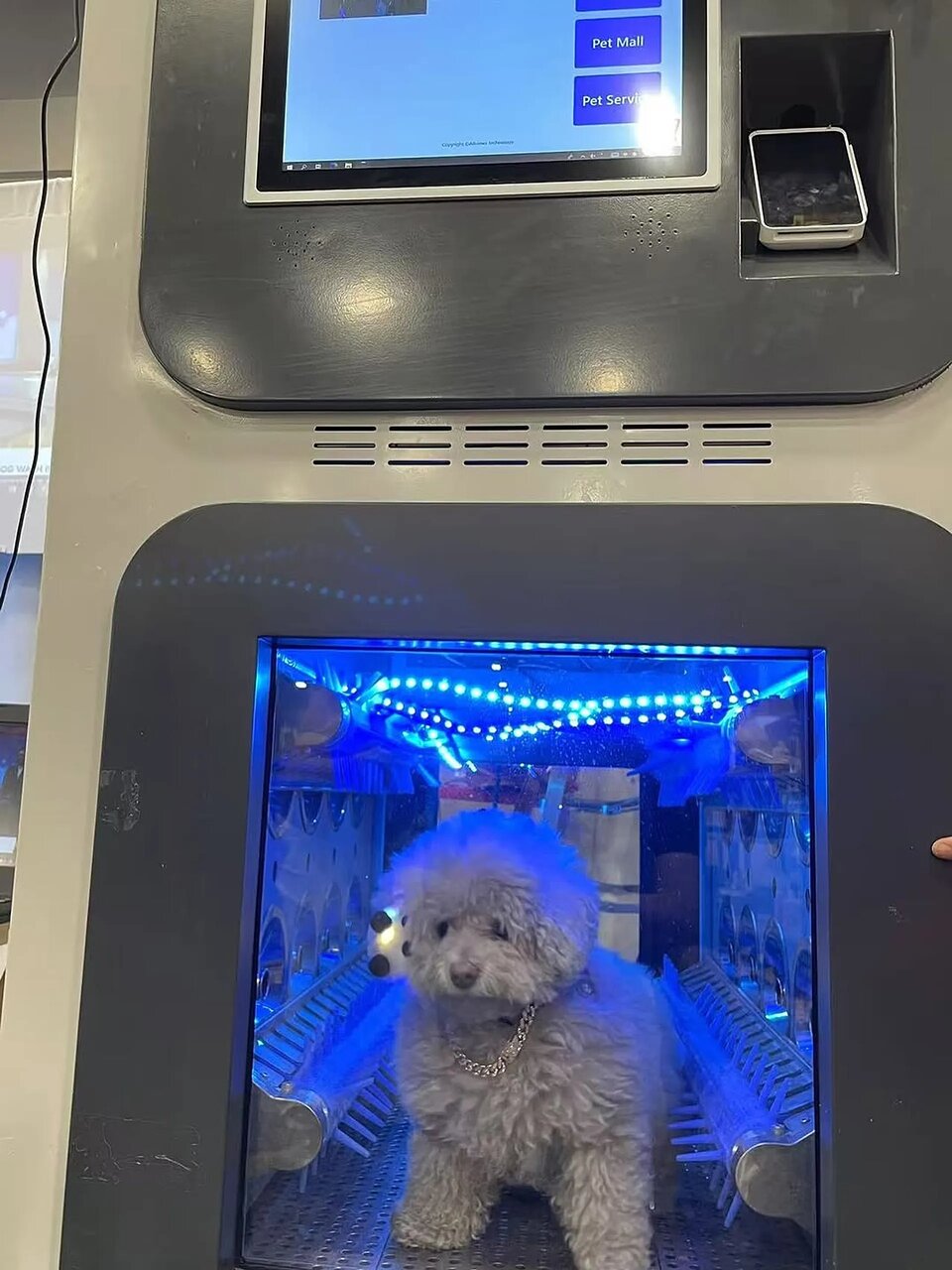 از ربات پشمالوی خجالتی تا قاب گوشی که مثل پوست انسان آفتابسوخته میشود/ عجیبترین فناوریهای سال ۲۰۲۵