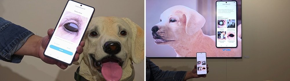 قابلیت Pet Care سامسونگ